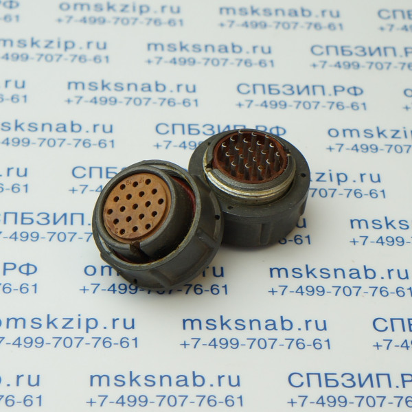 2РМ24К19Г1А1 Розетка кабельная