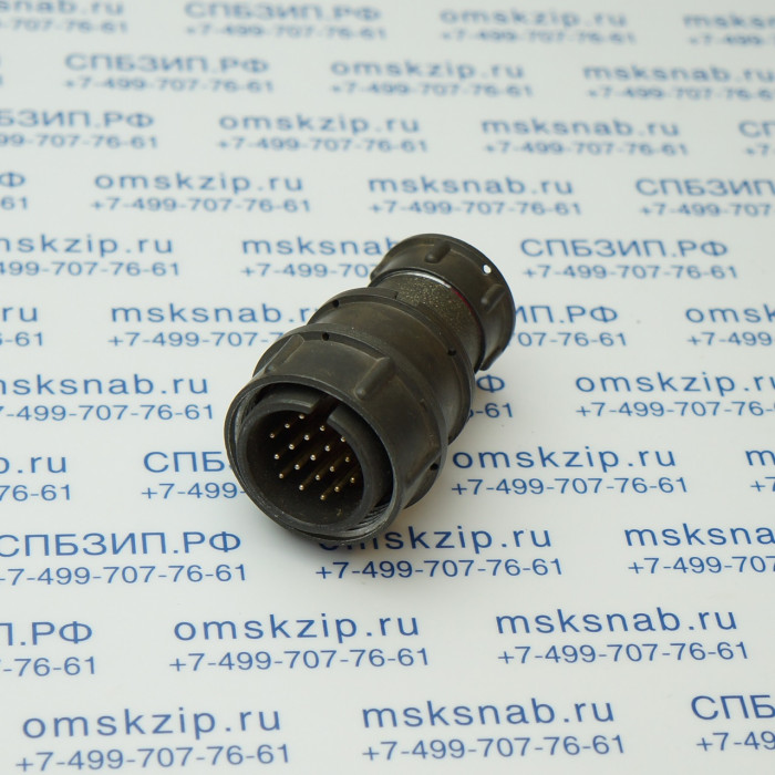 2РМ24КПЭ19Ш1А1 Вилка кабельная
