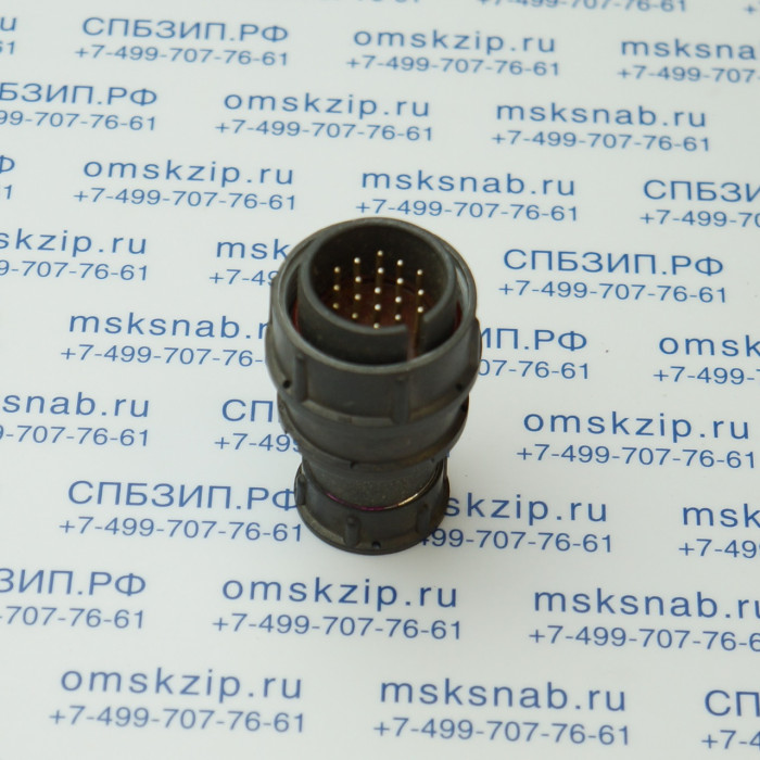 2РМ24КПЭ19Ш1А1 Вилка кабельная