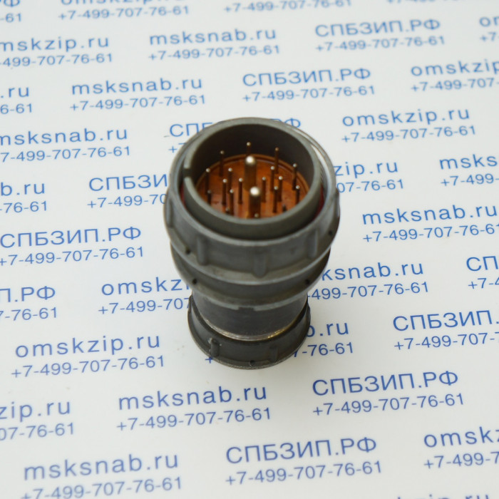 2РМТ33КПЭ20Ш4А1В Вилка кабельная