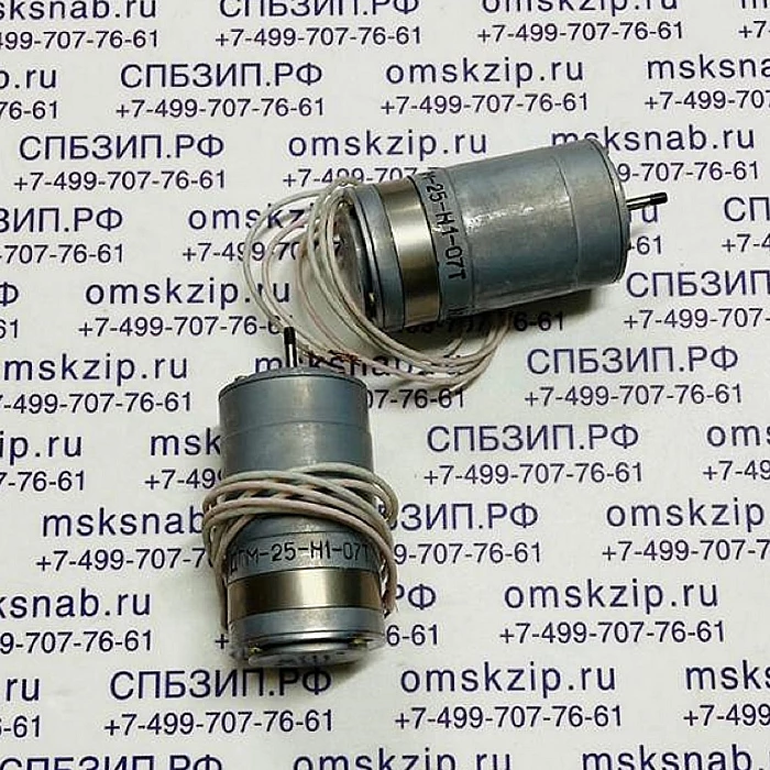 ДПМ-25-Н1-07Т Электродвигатель — фото