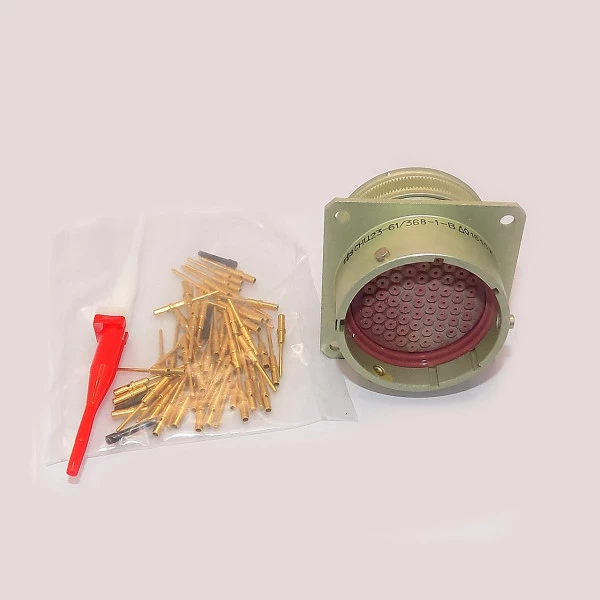 СНЦ144-10/13РП21-AWПC Розетка