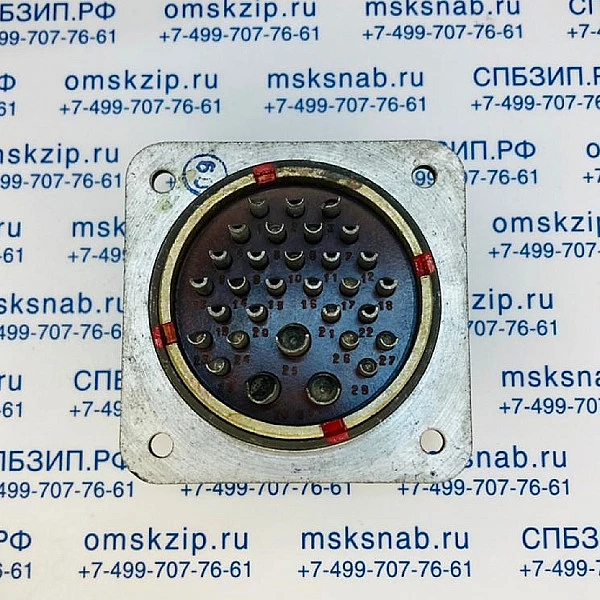 ШРГ55П31ЭШ3 Вилка приборная